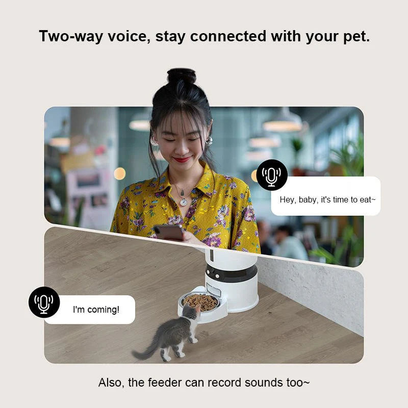 HEYBO Smart Automatic Pet Feeder with Integrated Camera and App Control